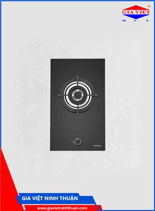 Bếp gas Domino HC-G301B