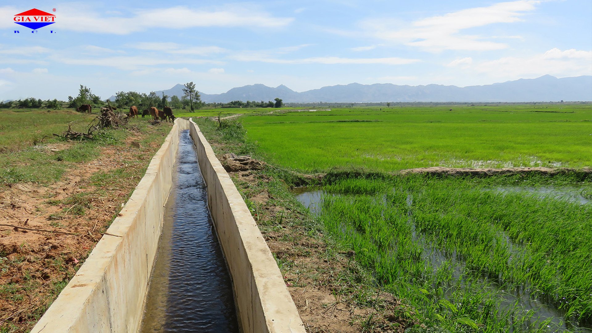 Công trình thủy lợi